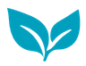 Sustainable Steps Leaves Icon